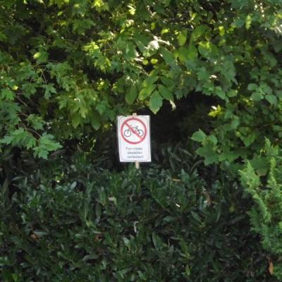 Kreispokal E Jugend 69 20180913 1686132072